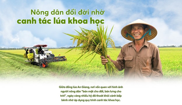 Nông dân đổi đời nhờ canh tác lúa khoa học
