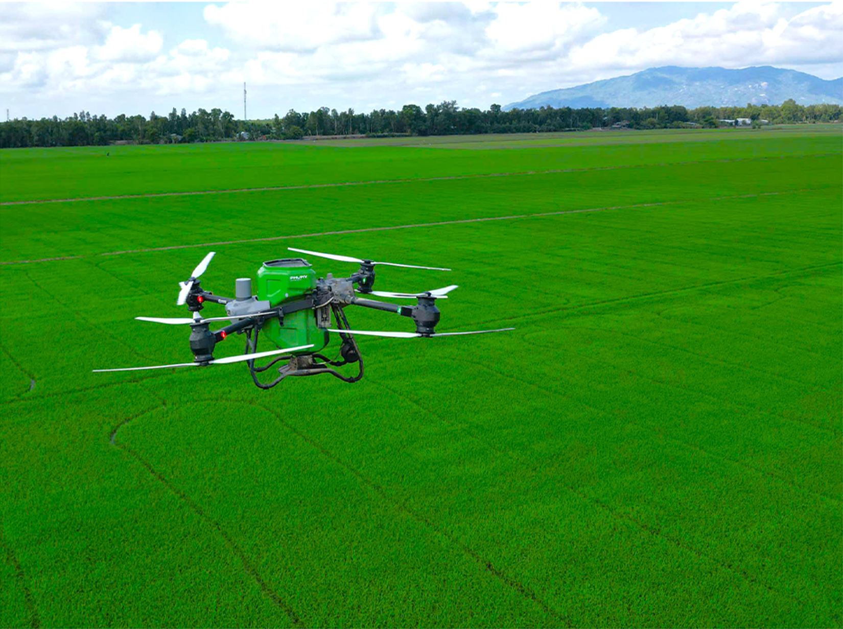 Bón Phân Phú Mỹ bằng Drone - Giải pháp tiết kiệm, an tâm cho mùa bội thu