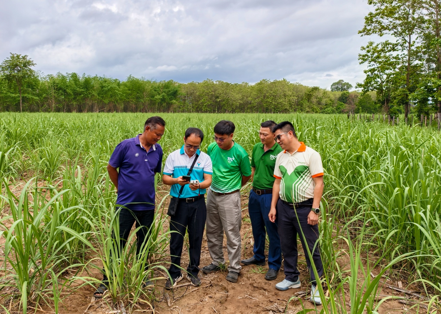 PVFCCo - Phú Mỹ tăng cường hợp tác phát triển nông nghiệp tại Lào