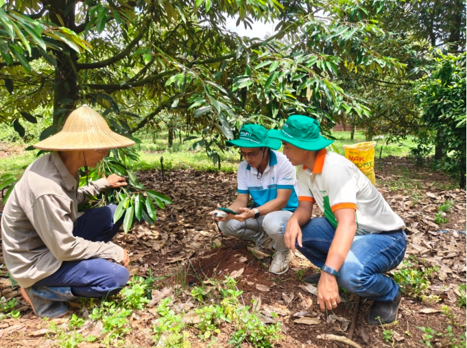 Giải pháp canh tác bền vững trước áp lực hạn hán, chi phí