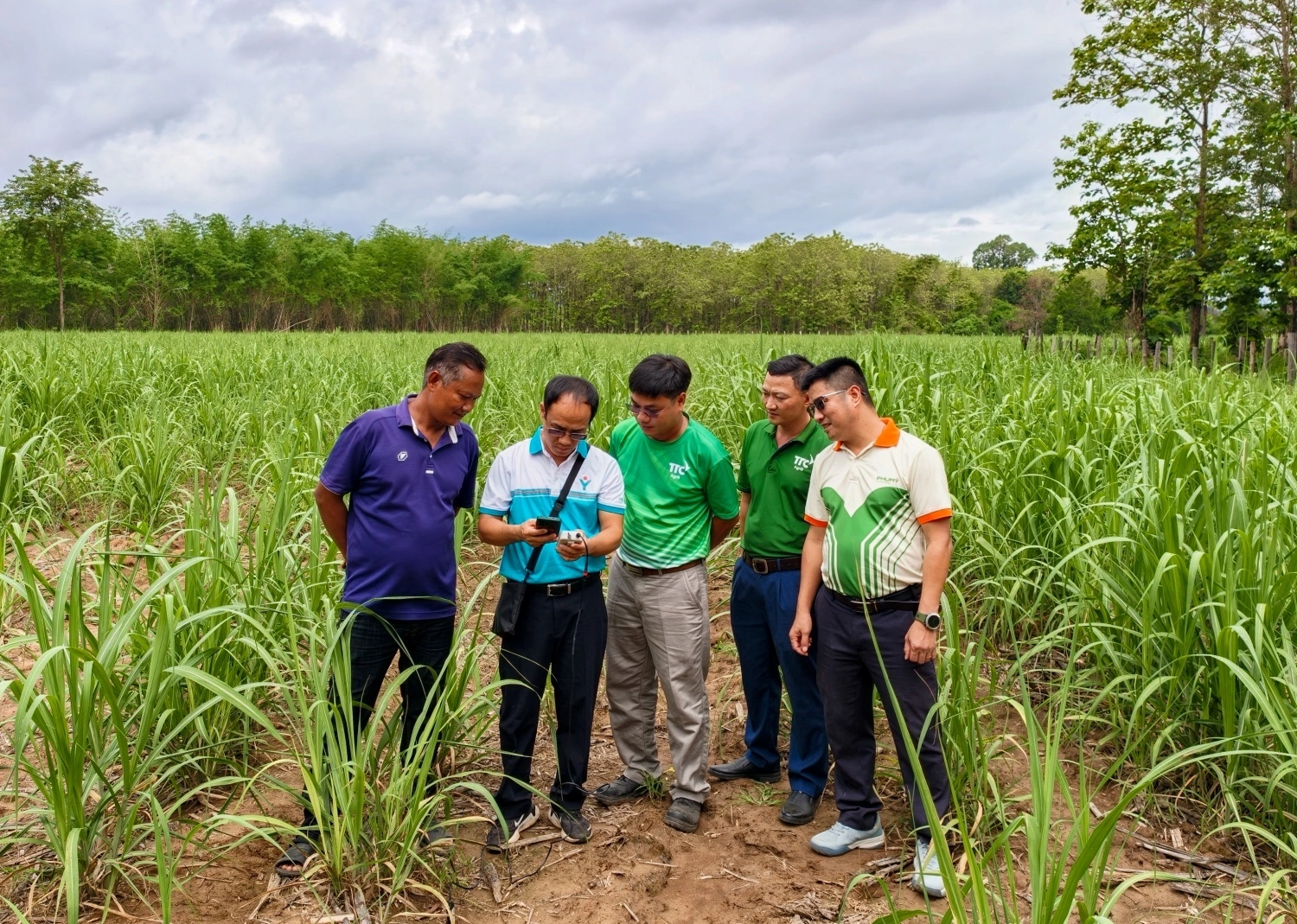 Phu My Fertilizer – Spreading green values from fields to communities